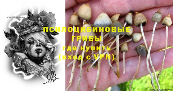 ALPHA PVP Арсеньев