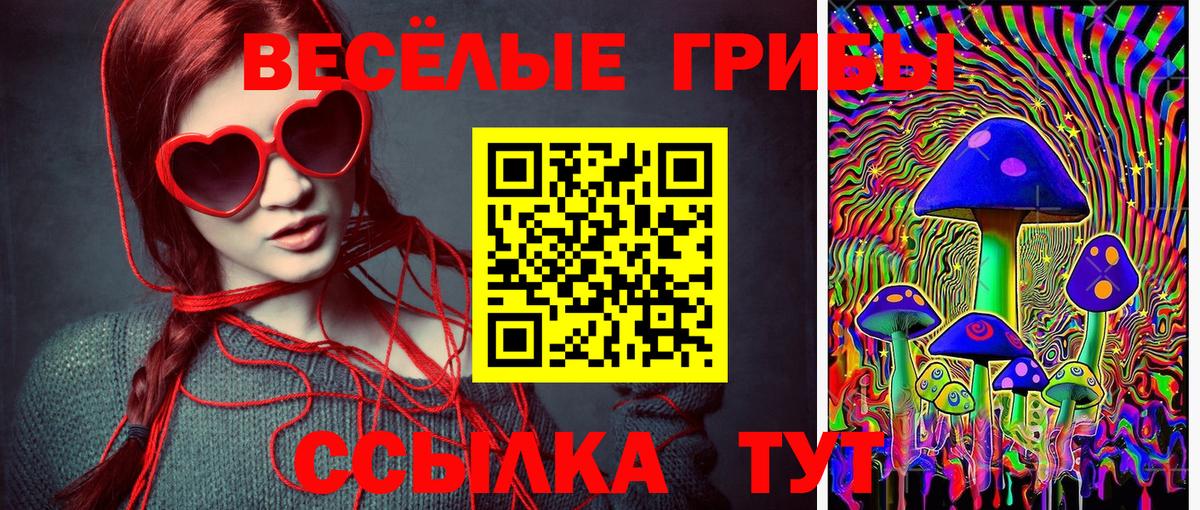 Ахтубинск  где найти наркотики  Вход с VPN  Галлюциногенные грибы GOLDEN TEACHER  Псилоцибиновые грибы Psilocybine cubensis 